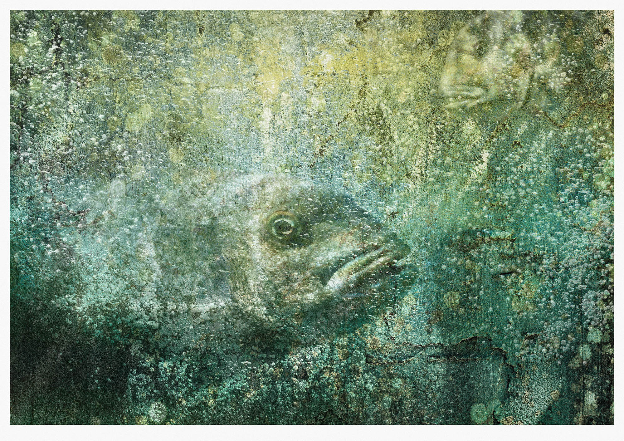 Monotoned underwater scene with two fish and many bubbles constructed from lichen stained wall water and fish 