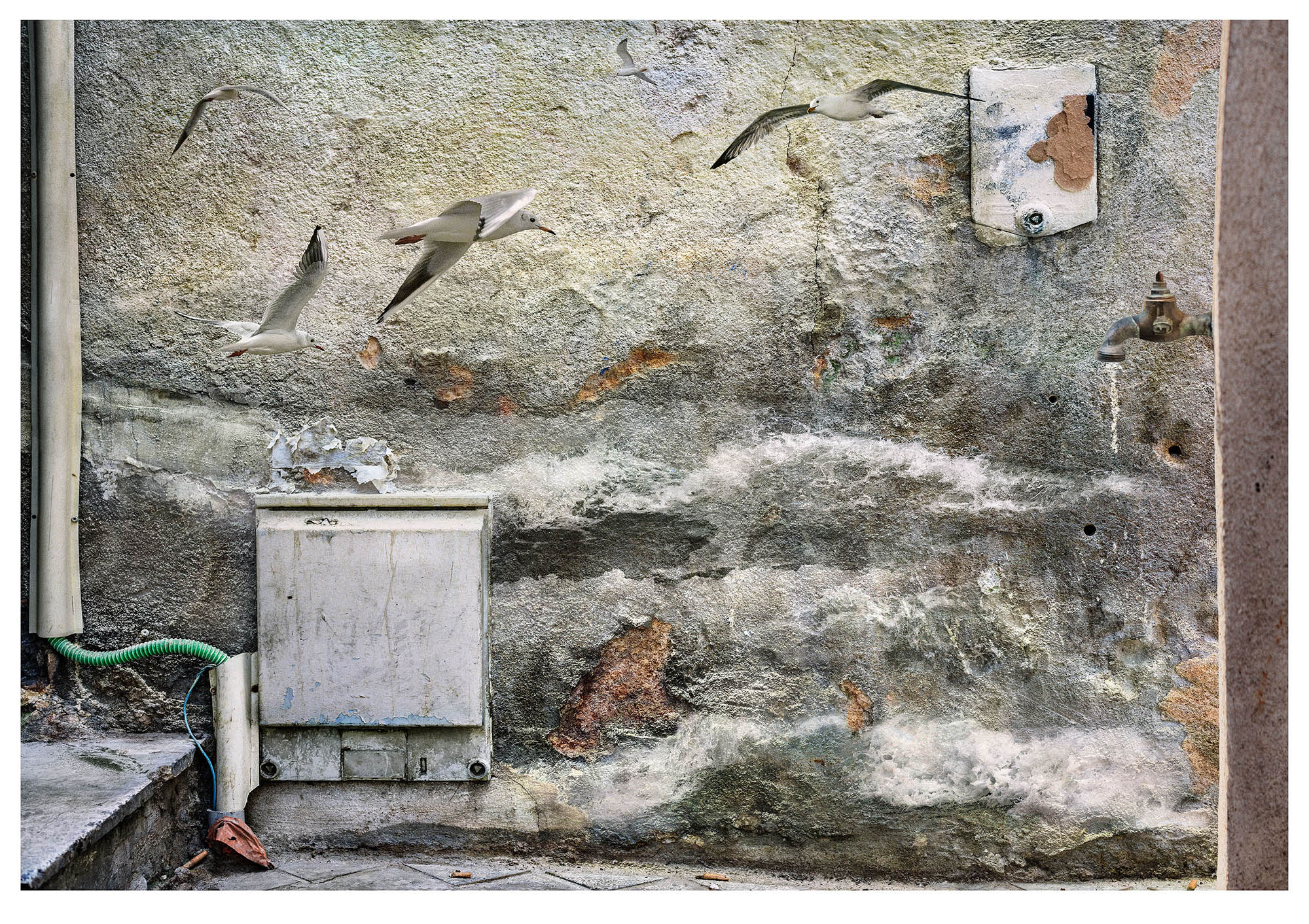 No. 8 last in series: a crumbling wall with elecric junction box is the background to overlaid stormy seas and flying seagulls- illustrates the fear of rising water levels 
